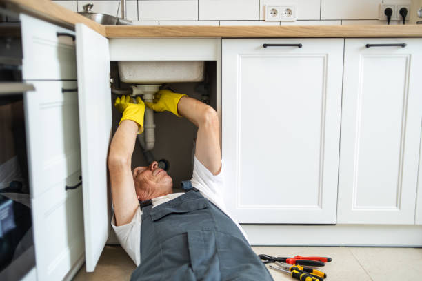 Best Septic Systems  in Clarion, IA
