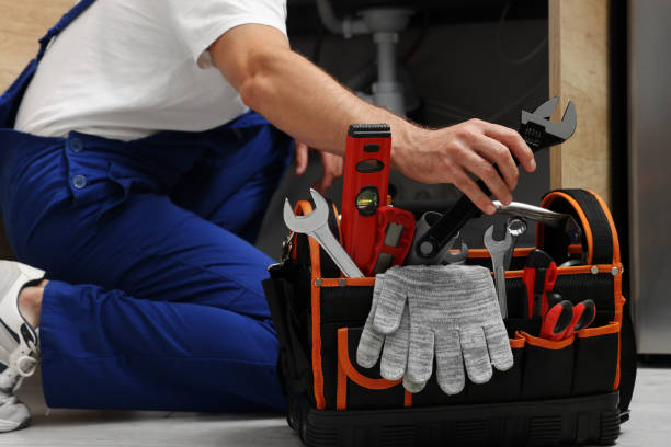 Best Residential Plumbing Services  in Clarion, IA